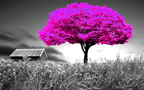 zedgewallpaper|zedge wallpapers 1080p for laptop.